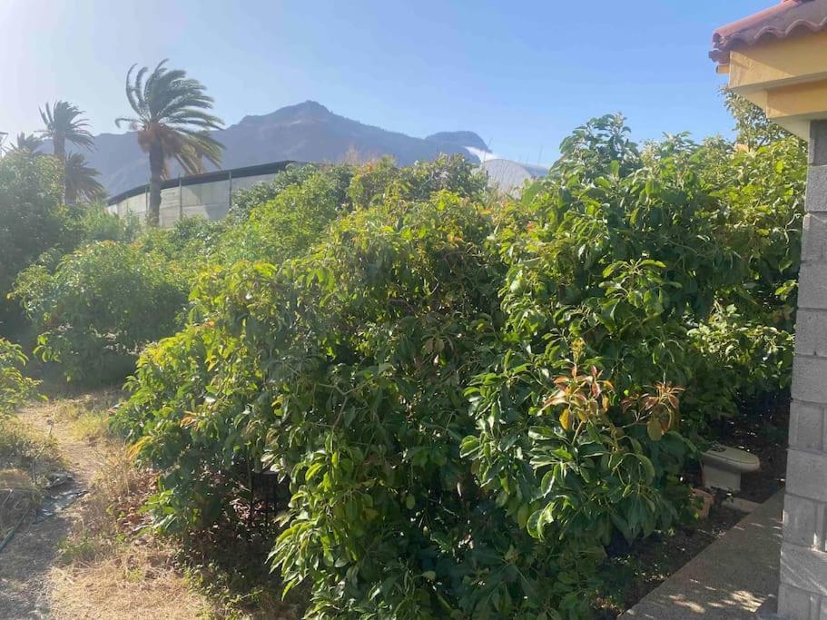 Casita Lily Villa Las Palmas de Gran Canaria Luaran gambar