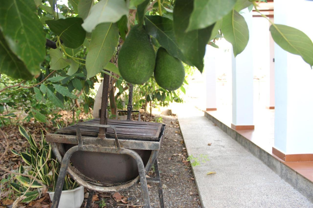 Casita Lily Villa Las Palmas de Gran Canaria Luaran gambar